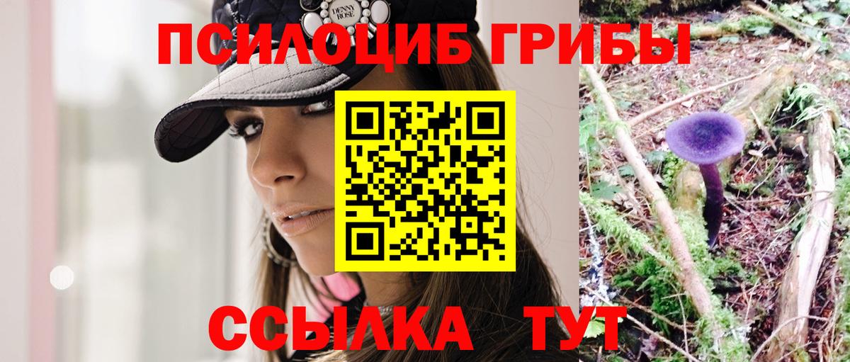 Алапаевск  Галлюциногенные грибы Cubensis  Псилоцибиновые грибы Cubensis  Вход с VPN 